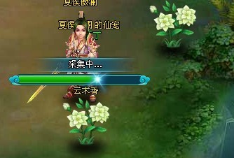 《梦幻飞仙》采集系统 《梦幻飞仙》采集系统